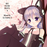 BiG ROOM BEATS 8 Mixed By Dj Charles G Toronto