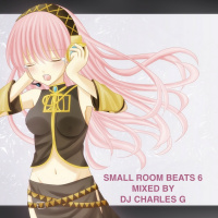 Small Room Beats 6 Mixed By D.J. Charles G - Toronto 