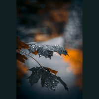 Our Capacity for God