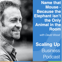 279: David Wood — Addressing the Mouse and the Elephant in the Room