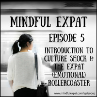 ME5: Introduction to Culture Shock  the Expat (Emotional) Rollercoaster