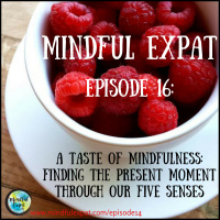 ME16: A Taste of Mindfulness: Finding the Present Moment Through Our Five Senses