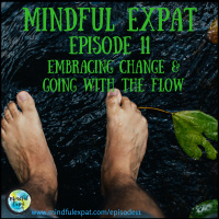 ME11: Embracing Change  Going With the Flow