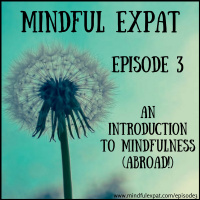 ME3: An Introduction to Mindfulness (Abroad!)
