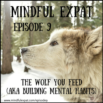 Mindful Expat, With Dana Nelson, Ph.d.