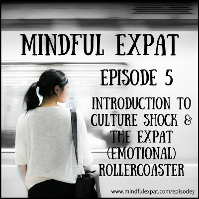 Mindful Expat, With Dana Nelson, Ph.d.