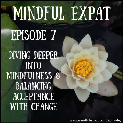 Mindful Expat, With Dana Nelson, Ph.d.