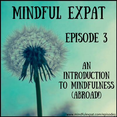 Mindful Expat, With Dana Nelson, Ph.d.