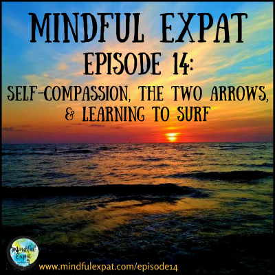 Mindful Expat, With Dana Nelson, Ph.d.