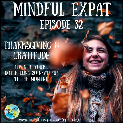Mindful Expat, With Dana Nelson, Ph.d.