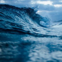 04 Nunc dimittis (o. Łukasz Popko OP)