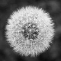 05 Hymn o miłości - 1 Kor 13 (o. Łukasz Popko OP)