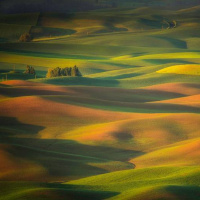 03 Benedictus (o. Łukasz Popko OP)