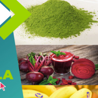 Hablamos con la nutricionista Sandra Gervilla sobre los mejores alimentos para runners