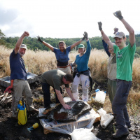 Ur-Pferdchen in der Grube Messel gefunden