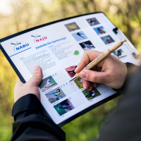 Große Mitmach-Aktion – zählen Sie die Vögel im Garten!