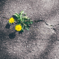 Verbände fordern weniger Flächenverbrauch in Baden-Württemberg