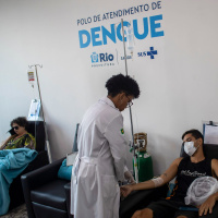 Fische, Labormücken, Impfung: Brasilien kämpft gegen Dengue-Fieber