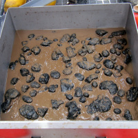 Unternehmen wollen in den Tiefsee-Bergbau einsteigen