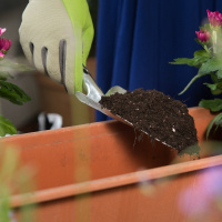 Schutz der Moore: Der schwierige Weg zur Pflanzerde ohne Torf