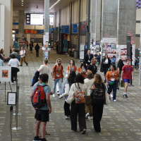 „Die Flitterwochen sind vorbei“ – Euphorie für KI sinkt