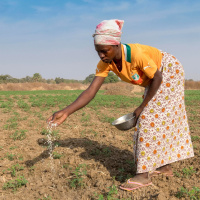 Frauen und Mädchen trifft die Klimakrise besonders hart