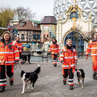 So werden Rettungshunde im Europa-Park Rust trainiert