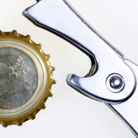 Käfer mit Bieröffner-Penis