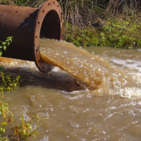 Zum Donau-Tag: Starke Verschmutzung des Flusses bei Belgrad