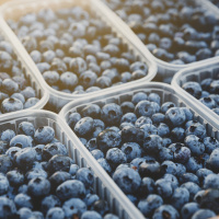 Blaubeeren aus Peru: Superfood im Supermarkt
