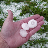 Fachleute erwarten in Zukunft mehr Hagel-Schäden