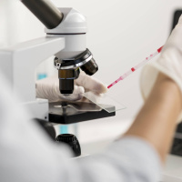 Leibniz-Preis 2024 geht auch an Forscher aus Heidelberg und Freiburg