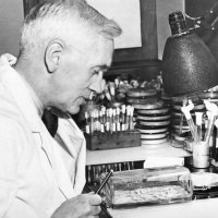 Wie Alexander Fleming vor 95 Jahren zufällig das Penicillin entdeckte