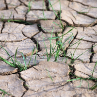 Nordatlantik ist verantwortlich für Hitzewellen in Europa