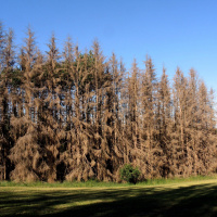 Hydrologische Forschungen: Wie bleibt das Wasser im Wald?