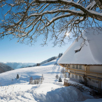 Wie stehen die Chancen auf weiße Weihnachten?
