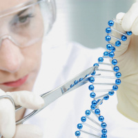 Chancen und Risiken der CRISPR/Cas-Methode in der Landwirtschaft