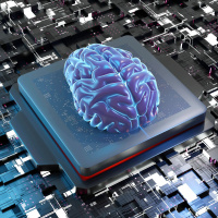 10 Jahre Human Brain Project - Das menschliche Gehirn ist einzigartig