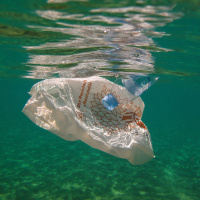 Neue Erkenntnisse zu Plastikmüll im Meer