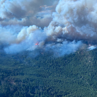 Wiederaufbau nach Waldbränden in Kanada
