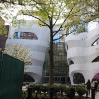 Es schwirrt und krabbelt – Neuer Anbau am Naturkunde-Museum New York