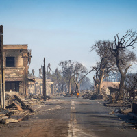 Maui - Warum der Brand so verheerend war