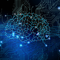 Klumpen aus menschlichen Hirnzellen hilft Computer beim Rechnen