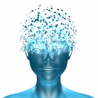 Welche Risiken birgt KI?