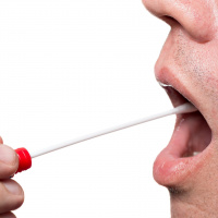 Mit Geduld und Spucke – Neue Tests für die innere Uhr