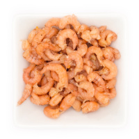 Schutz im Wattenmeer: Nordsee-Krabbenfischer brauchen neue Fangmethoden