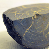 Tiefseebergbau: Mögliche Schäden müssen mehr berücksichtigt werden