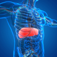 Welt-Hepatitis-Tag: Was ist Hepatitis und wie kann man sich schützen?