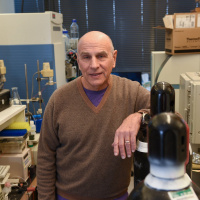 Paul Ehrlich- und Ludwig Darmstaedter-Preis für Dennis Kasper