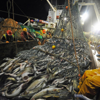 Kommentar: Was bringt das UNO-Hochseeabkommen?